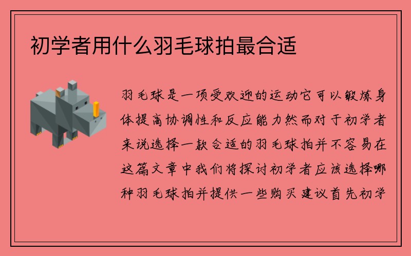 初学者用什么羽毛球拍最合适